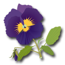 Pansy illustration in purple with green leaves and shadow effect. Site logo.